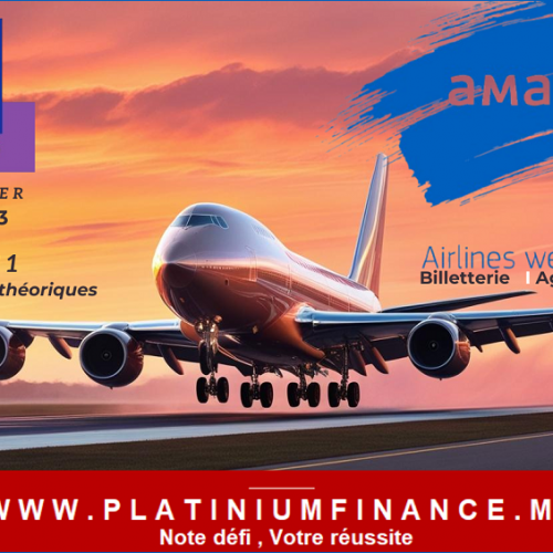 Annonce: Amadeus – NIVEAU 1 – Découvrir les bases Théorique