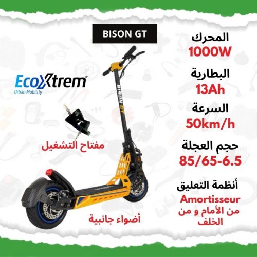 Annonce: Bison GT 1000W