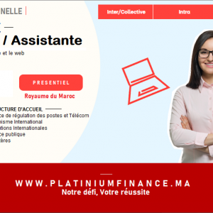 Annonce Informatique - Assistante - Secrétaire Agence de régulation - Ministère - Organisme international