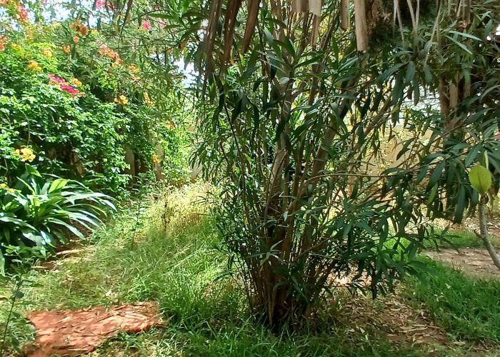 Image annonce: Vente villa isolée sise a Ain Diab