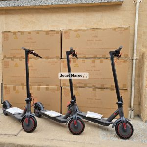 Annonce Trottinette Électrique AOVO PRO ES80