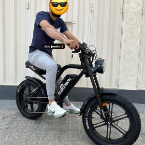 Annonce Vélo Électrique SUBORBOX K1 HARLEY 48V – Puissance, Style et Confort