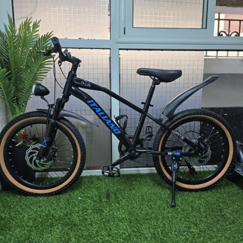 Annonce: VÉLO VTT ITALIANO *  *20 POUCES