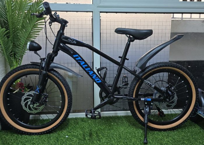 Image annonce: VÉLO VTT ITALIANO * *20 POUCES
