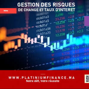 Annonce MAITRISER LA GESTION DES RISQUES DE CHANGE ET DE TAUX D’INTERET