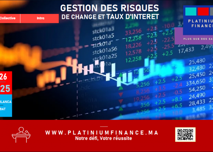 Image annonce: MAITRISER LA GESTION DES RISQUES DE CHANGE ET DE TAUX D’INTERET