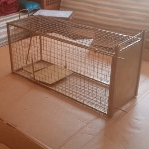 Annonce Trappe chat lapin