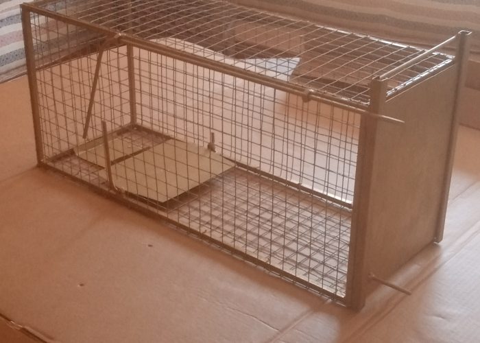 Image annonce: Trappe chat lapin