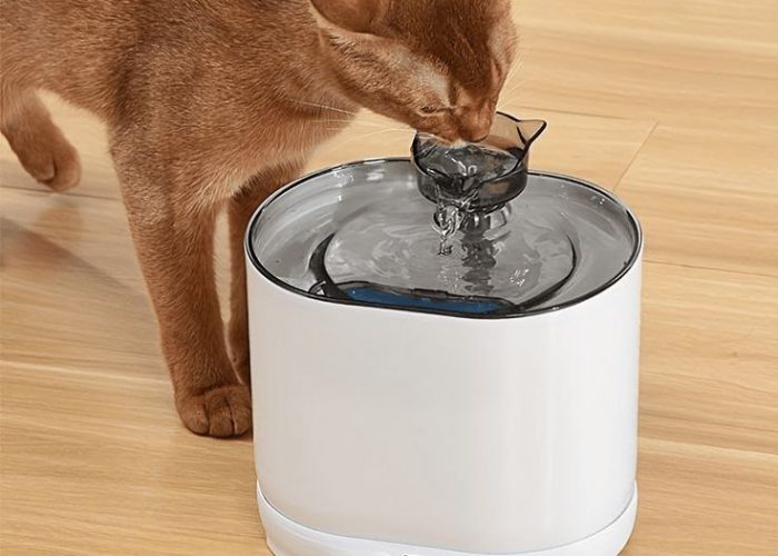 Image annonce: Smart Cat Water Fountain with Motion Sensor    نافورة مياه ذكية للقطط بمستشعر الحركة