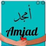 Image de Profil de Saida Amzil
