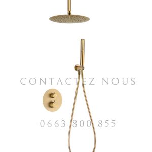 Annonce Douche Thermostatique Encastrée – Or Brossé avec Douche Plafond