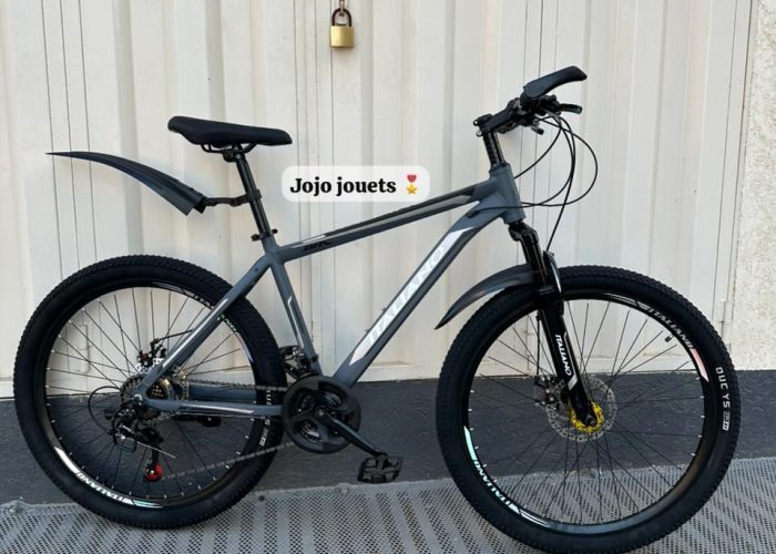 Image annonce: Vélo VTT ALUMINIUM ITALIANO GTR  26 Pouces