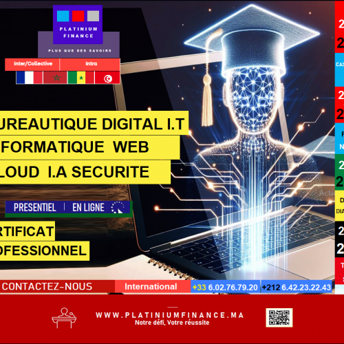 Annonce: INFORMATIQUE - BUREAUTIQUE - STATISTIQUE SPSS ET TRANSFORMATION DIGITALE