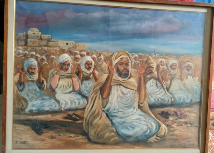 Image annonce: Photo Vieilles oasis