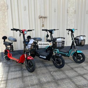 Annonce Cyclomoteur Xmd 400 lithium 48V15Ah Emove
