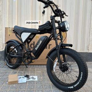 Annonce Vélo Électrique Harley RidStar Q20 Mini