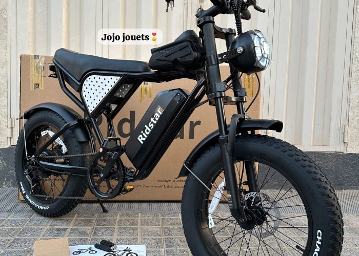 Image annonce: Vélo Électrique Harley RidStar Q20 Mini