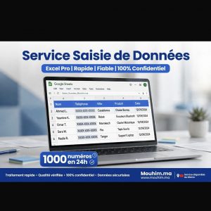 Annonce Saisie de Données Excel Rapide et Professionnelle - 1000 numéros en 24h